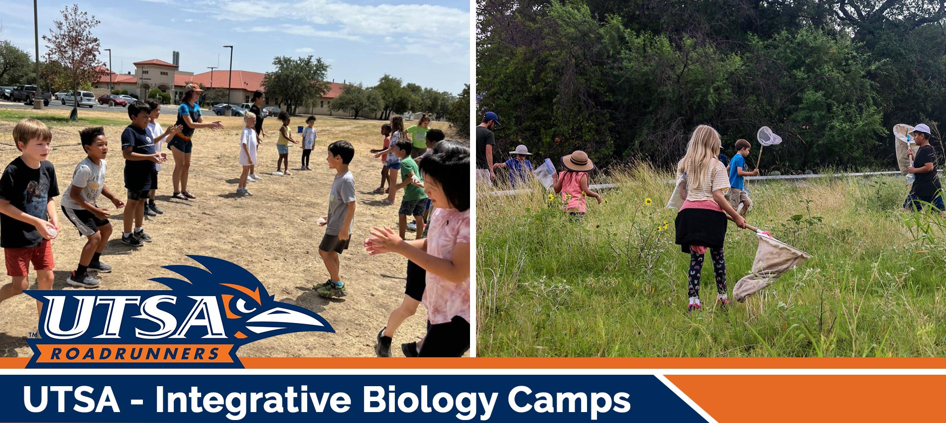 UTSA - Integrative Biology Camps